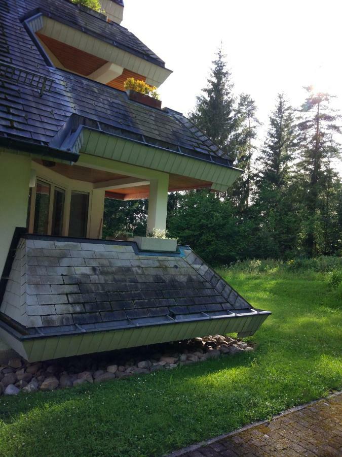 Black Forest Bollenhut Deluxe Lenzkirch Eksteriør billede