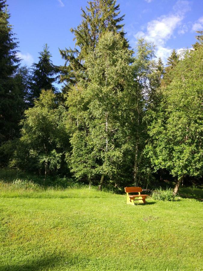 Black Forest Bollenhut Deluxe Lenzkirch Eksteriør billede